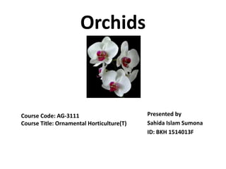 Orchids
Presented by
Sahida Islam Sumona
ID: BKH 1514013F
Course Code: AG-3111
Course Title: Ornamental Horticulture(T)
 