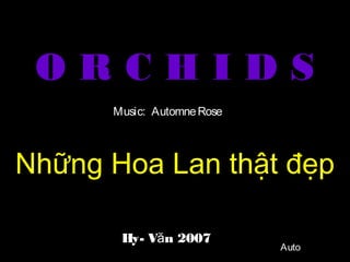 O R C H I D S
Những Hoa Lan thật đẹp
Hy- V n 2007ă
Music: AutomneRose
Auto
 