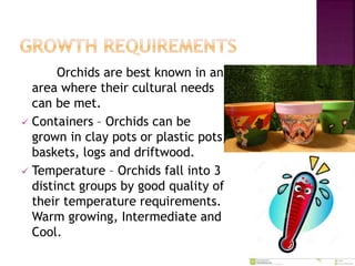 Orchids are best known in an
area where their cultural needs
can be met.
 Containers – Orchids can be
grown in clay pots or plastic pots,
baskets, logs and driftwood.
 Temperature – Orchids fall into 3
distinct groups by good quality of
their temperature requirements.
Warm growing, Intermediate and
Cool.
 