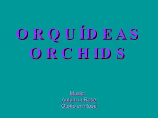 ORQUÍDEAS ORCHIDS Music:  Autum in Rose Otoño en Rosa 