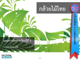 กล้วยไม้ไทย
1
กล้วยไม้ไทย3:การเติบโตของพืช
แผนการจัดการเรียนรู้ที่ 3
การเติบโตของพืช
 