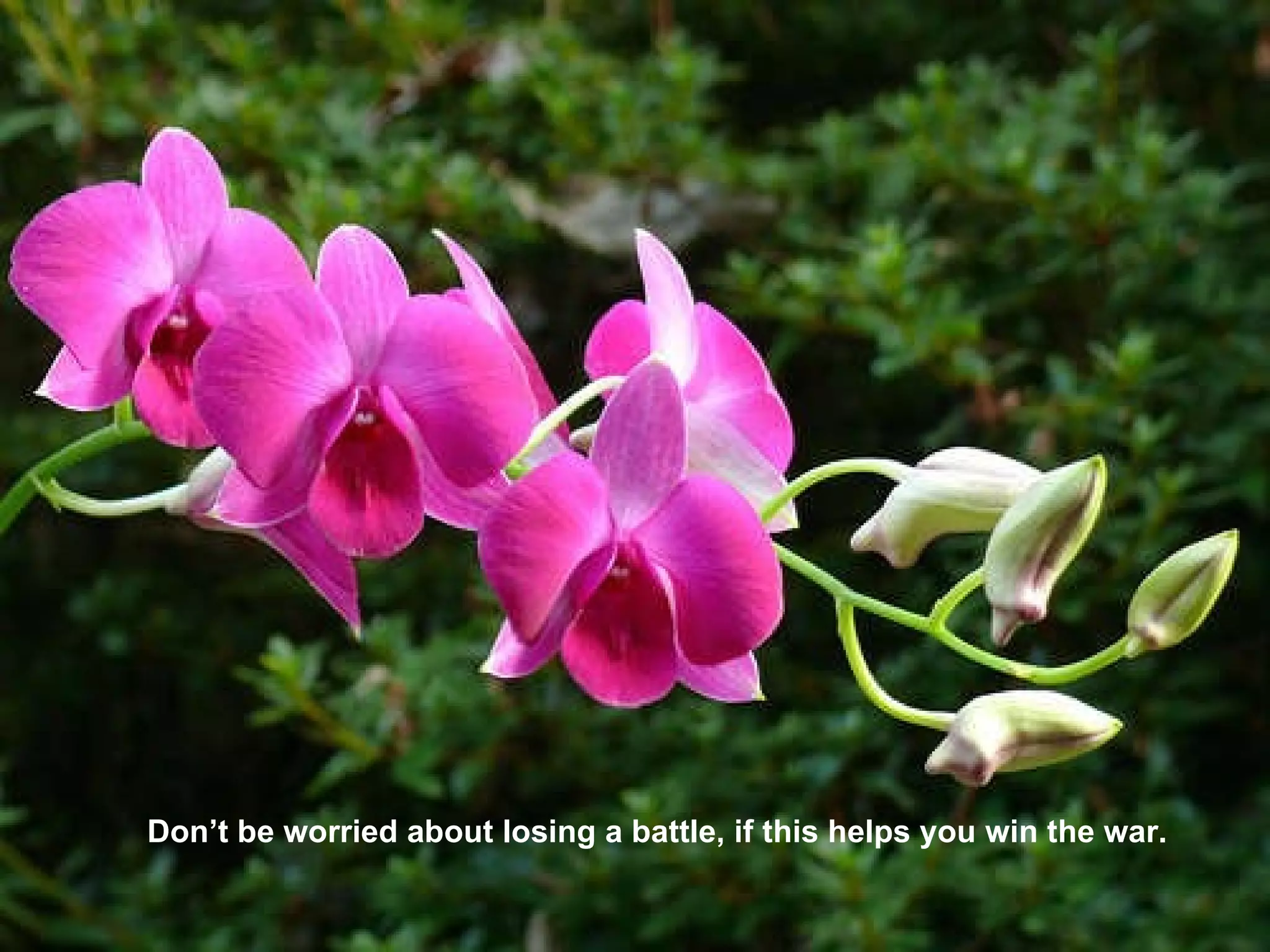 Don’t be worried about losing a battle, if this helps you win the war.   