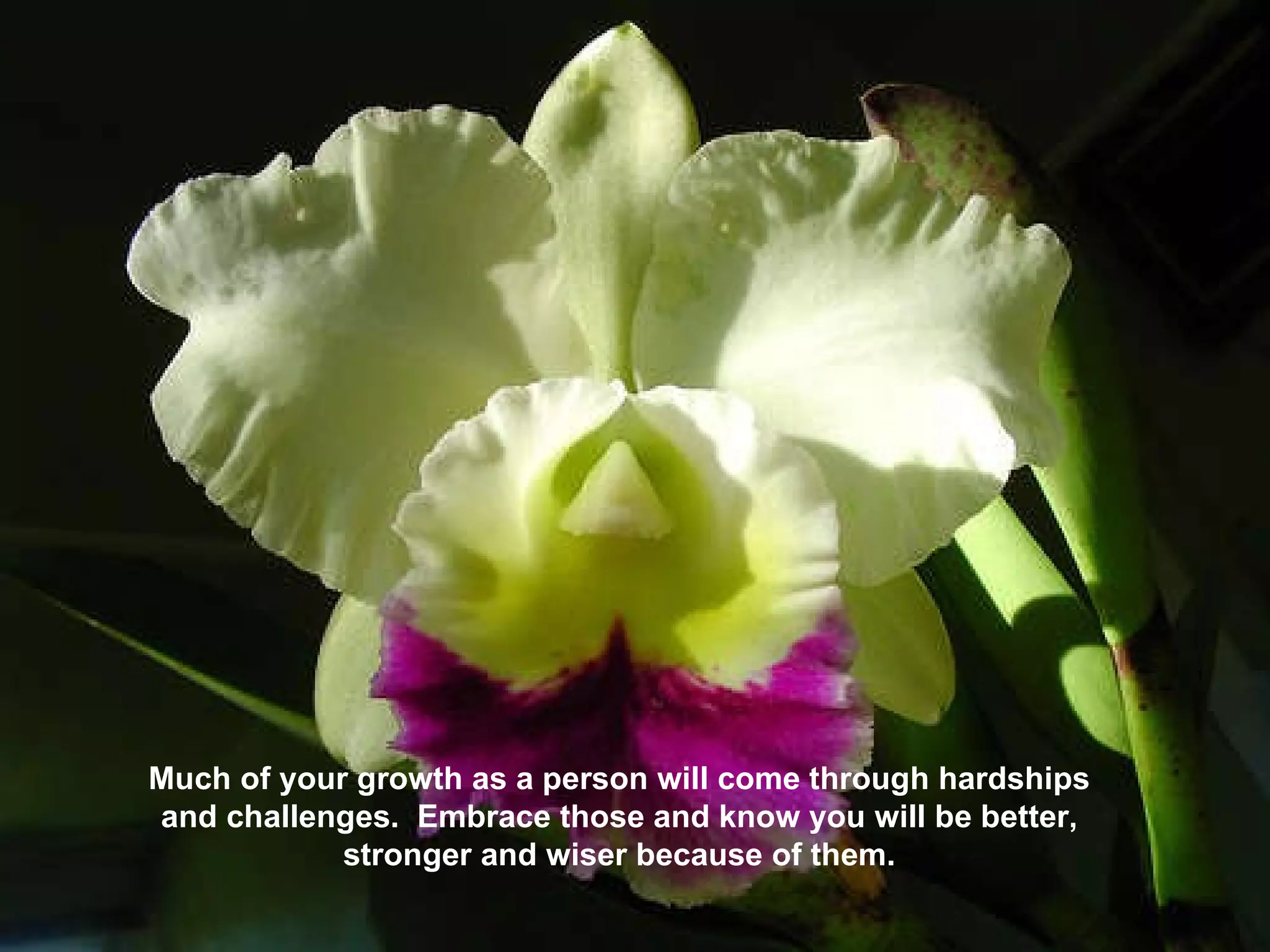 Much of your growth as a person will come through hardships and challenges.  Embrace those and know you will be better, stronger and wiser because of them. 