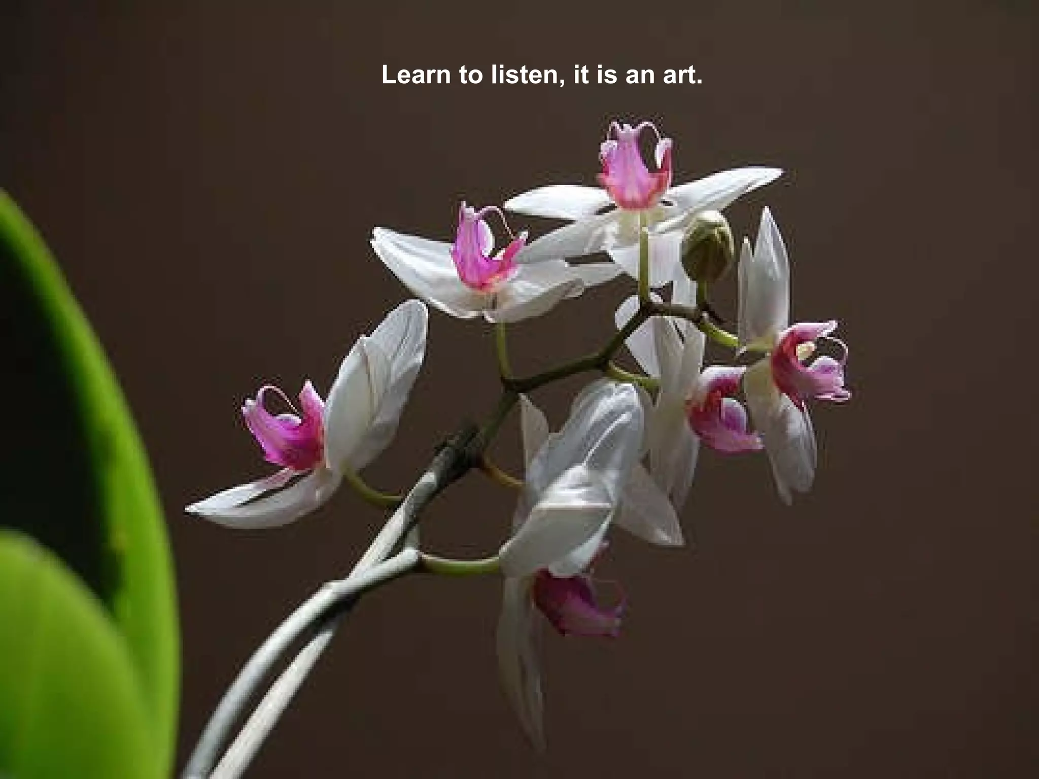 Learn to listen, it is an art. 