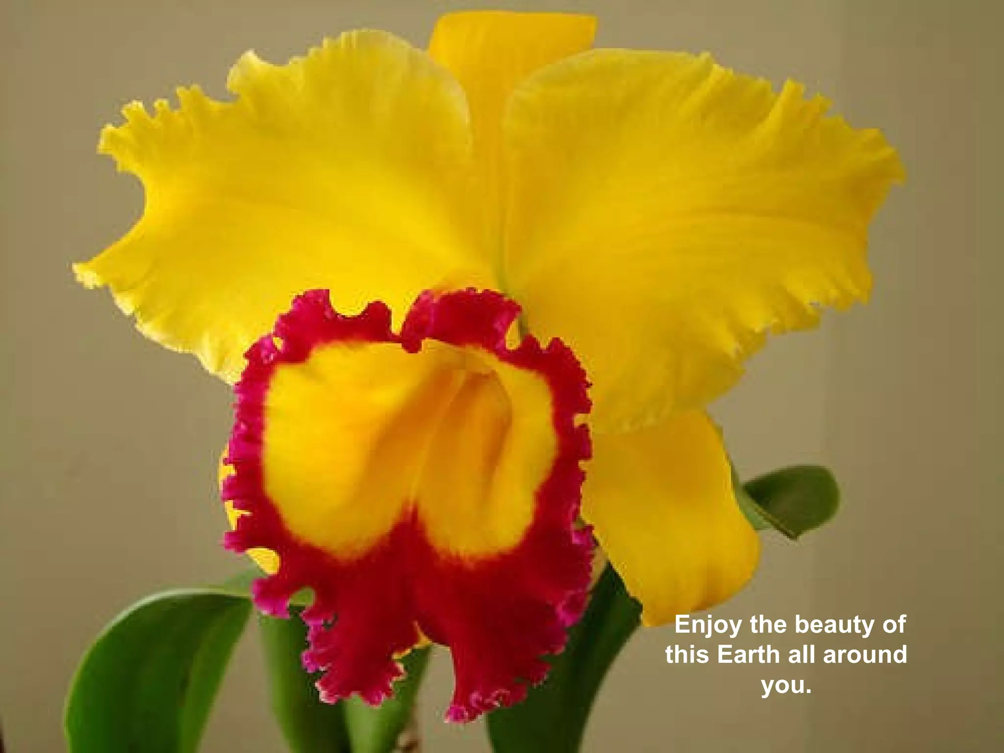 Enjoy the beauty of this Earth all around you. 