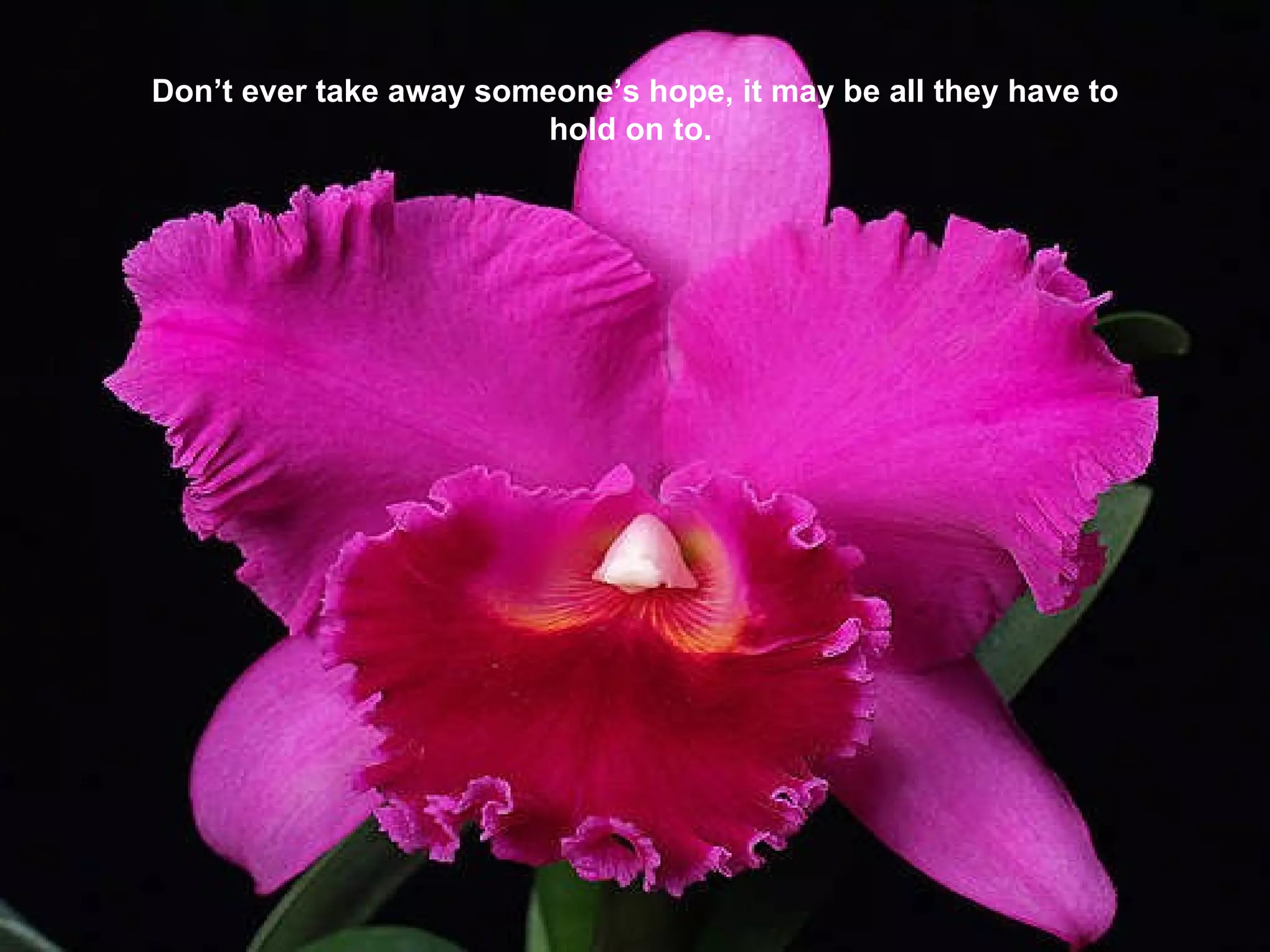 Don’t ever take away someone’s hope, it may be all they have to hold on to.  