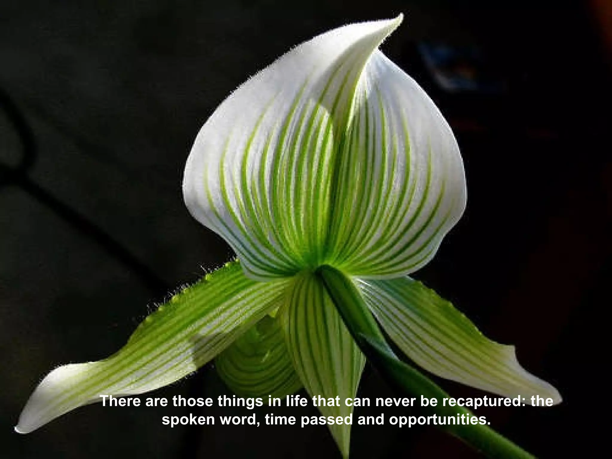 There are those things in life that can never be recaptured: the spoken word, time passed and opportunities. 