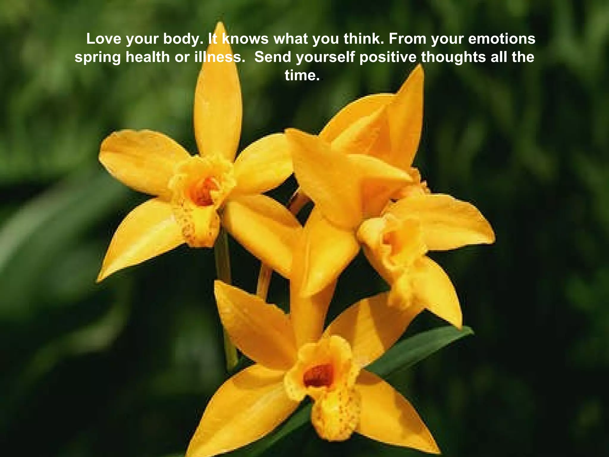 Love your body. It knows what you think. From your emotions spring health or illness.  Send yourself positive thoughts all the time. . 