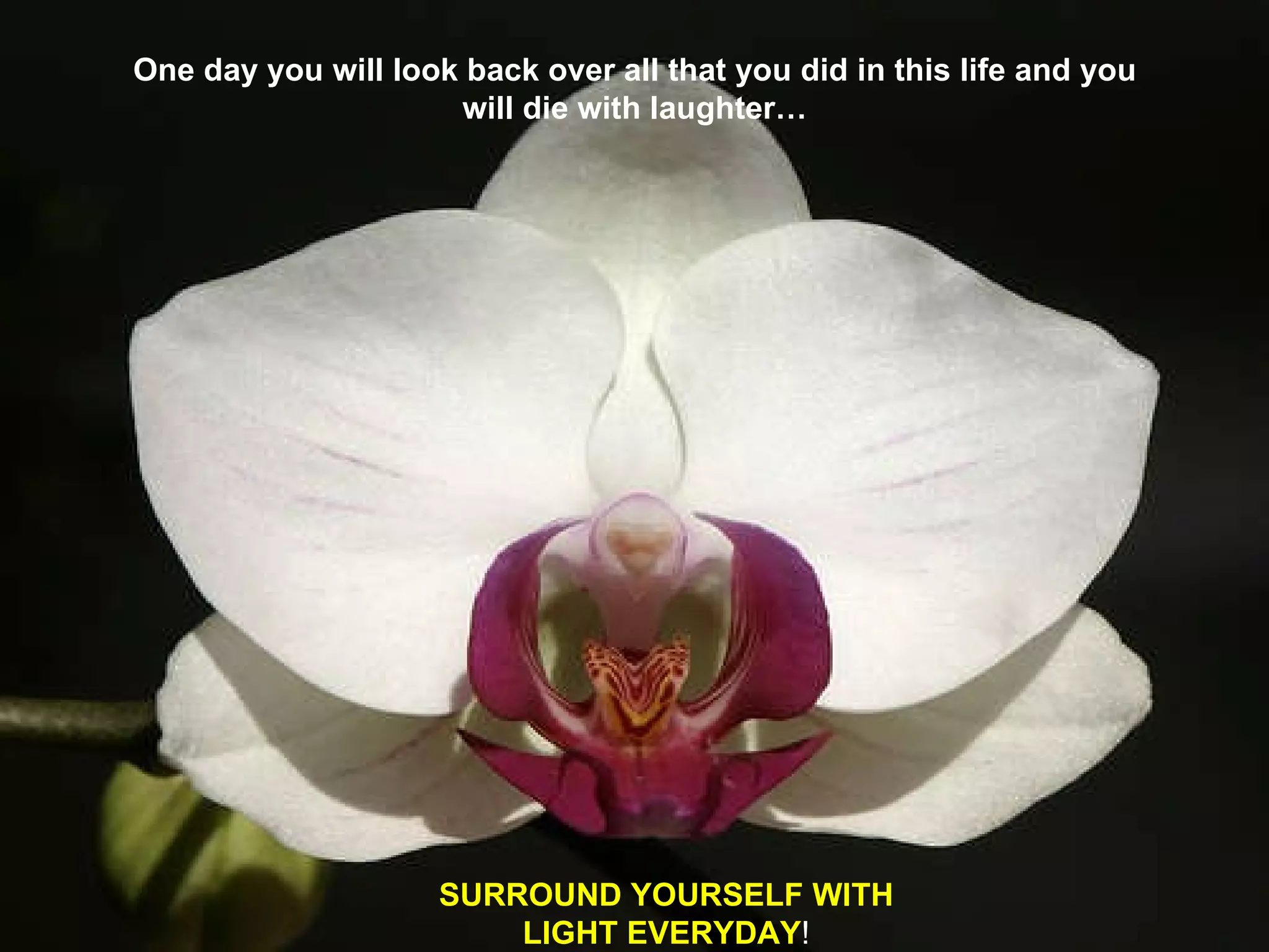 One day you will look back over all that you did in this life and you will die with laughter… SURROUND YOURSELF WITH LIGHT EVERYDAY ! 