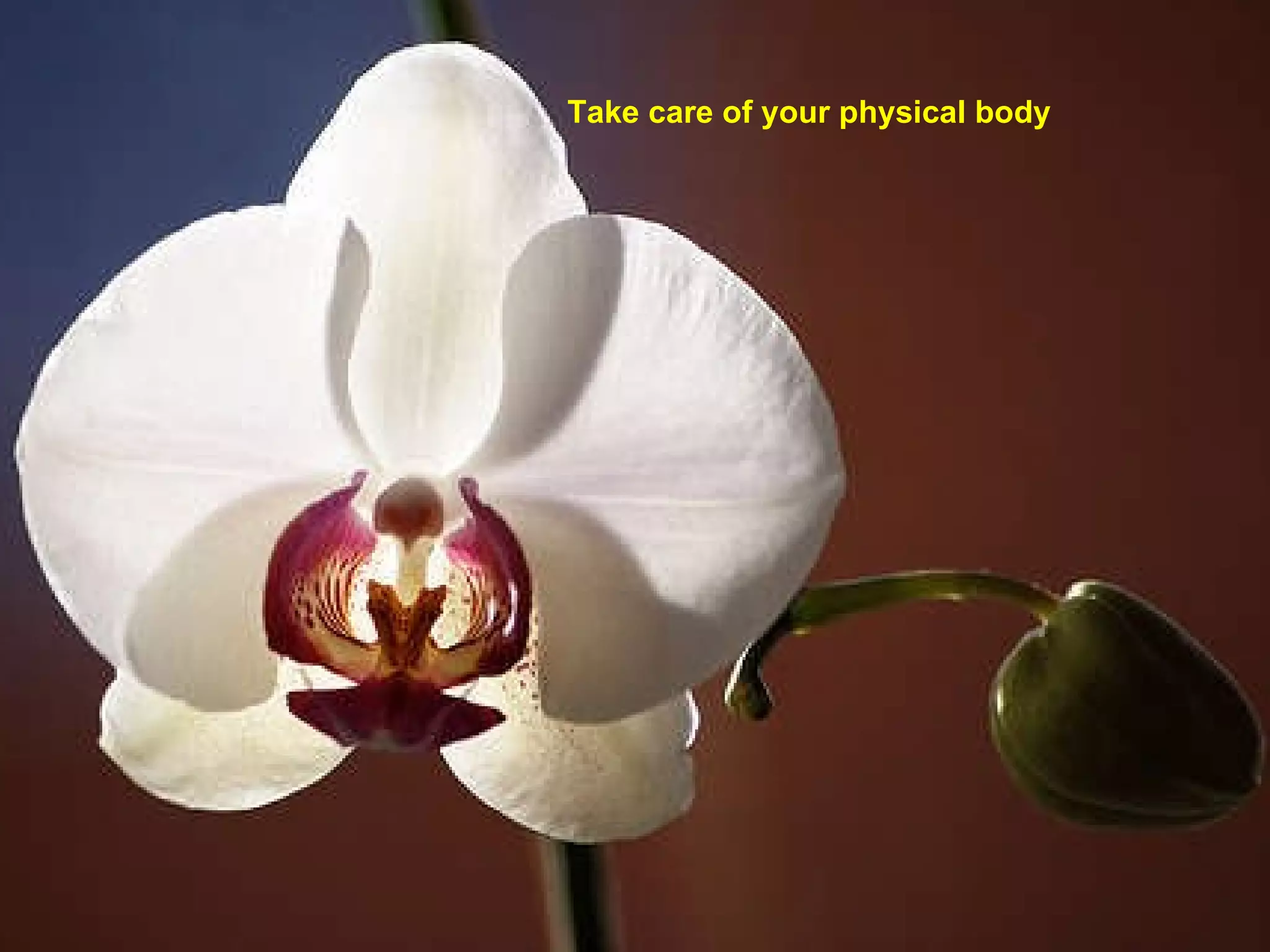 Take care of your physical body 