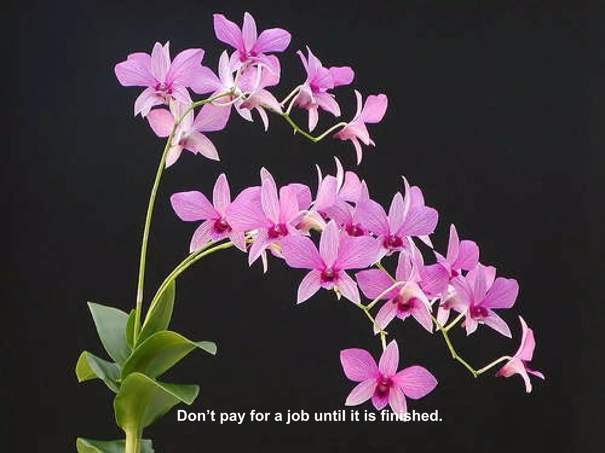 Don’t pay for a job until it is finished. 