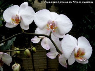 Faça o que é preciso ser feito no momento.   