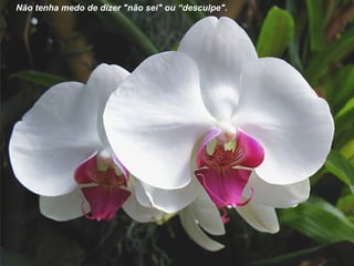 Não tenha medo de dizer "não sei" ou “desculpe". 