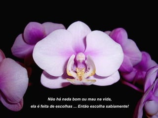 Não há nada bom ou mau na vida,  ela é feita de escolhas ... Então escolha sabiamente! 