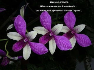 Viva o momento.  Não se apresse em ir em frente ...  Há muito que aproveitar da vida "agora". 