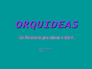 ORQUIDEAS Music:  Autumn Rose Com Pensamentos para saborear e reflectir... 