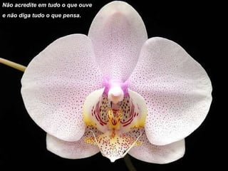 Não acredite em tudo o que ouve  e não diga tudo o que pensa. 