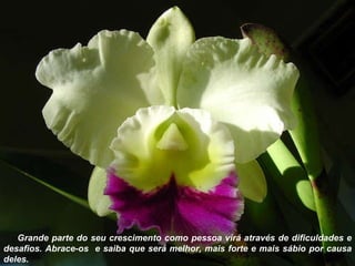 Grande parte do seu crescimento como pessoa virá através de dificuldades e desafios. Abrace-os  e saiba que será melhor, mais forte e mais sábio por causa deles. 