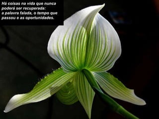 Há coisas na vida que nunca poderá ser recuperada:  a palavra falada, o tempo que passou e as oportunidades. 