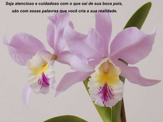 Seja atencioso e cuidadoso com o que sai de sua boca pois,  são com essas palavras que você cria a sua realidade. 