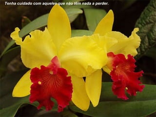 Tenha cuidado com aqueles que não têm nada a perder. 