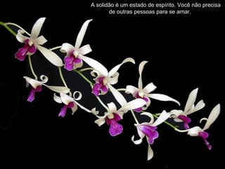 A solidão é um estado de espírito. Você não precisa
de outras pessoas para se amar.
 