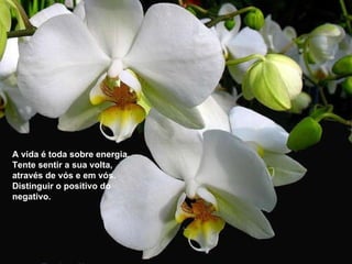 A vida é toda sobre energia. Tente sentir a sua volta, através de vós e em vós. Distinguir o positivo do negativo. 