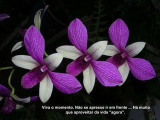 Viva o momento. Não se apresse ir em frente ... Há muito que aproveitar da vida "agora". 