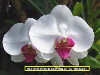 Não tenha medo de dizer "não sei" ou “desculpe".
 