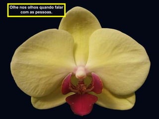 Olhe nos olhos quando falar
     com as pessoas.
 