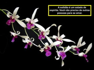 A solidão é um estado de
espírito. Você não precisa de outras
       pessoas para se amar.
 