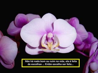 Não há nada bom ou ruim na vida, ela é feita
  de escolhas ... Então escolha ser feliz...
 