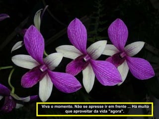 Viva o momento. Não se apresse ir em frente ... Há muito
           que aproveitar da vida "agora".
 