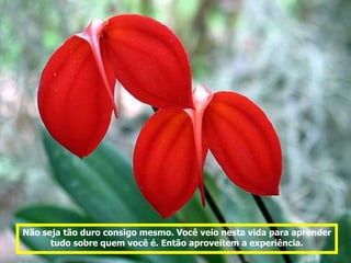 Não seja tão duro consigo mesmo. Você veio nesta vida para aprender
      tudo sobre quem você é. Então aproveitem a experiência.
 