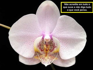 Não acredite em tudo o
que ouve e não diga tudo
   o que você pensa.
 