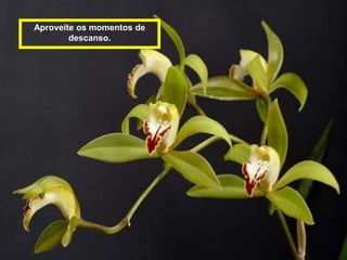 Aproveite os momentos de
        descanso.
 