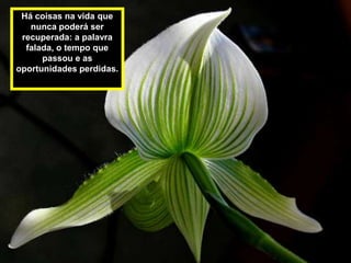 Há coisas na vida que
   nunca poderá ser
 recuperada: a palavra
  falada, o tempo que
      passou e as
oportunidades perdidas.
 