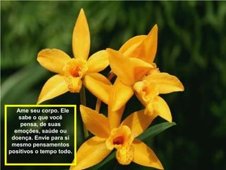 Ame seu corpo. Ele
    sabe o que você
     pensa, de suas
  emoções, saúde ou
 doença. Envie para si
 mesmo pensamentos
positivos o tempo todo.
 