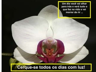 Um dia você vai olhar
                    para trás e verá tudo o
                     que fez na vida e vai
                       morrer de rir ...




Cerque-se todos os dias com luz!
 