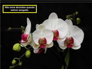 Não tome decisões quando
     estiver zangado.
 