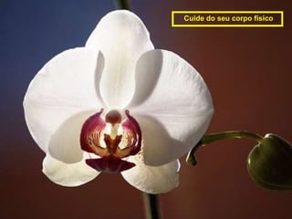 Cuide do seu corpo físico
 