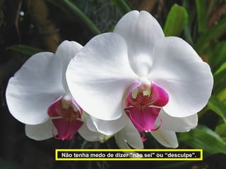 Não tenha medo de dizer "não sei" ou “desculpe".
 