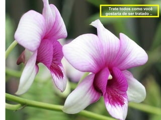 Trate todos como você
gostaria de ser tratado ..
 