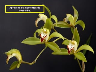 Aproveite os momentos de
        descanso.
 