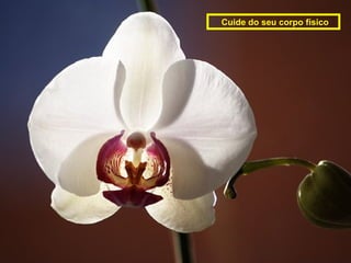 Cuide do seu corpo físico
 