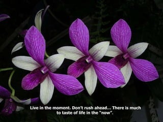 Live in the moment. Don’t rush ahead… There is much to taste of life in the “now” . 