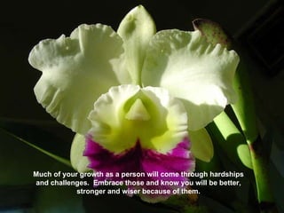 Much of your growth as a person will come through hardships and challenges.  Embrace those and know you will be better, stronger and wiser because of them. 