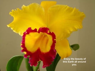 Enjoy the beauty of this Earth all around you. 