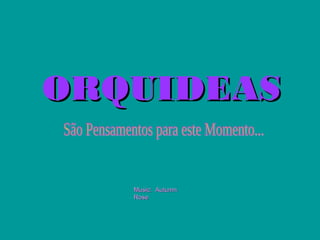 ORQUIDEASORQUIDEAS
Music: AutumnMusic: Autumn
RoseRose
 