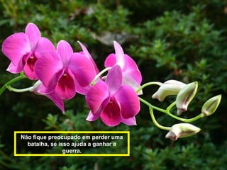 Não fique preocupado em perder uma 
batalha, se isso ajuda a ganhar a 
guerra. 
 